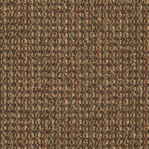 5003 Tea Garden.jpg
